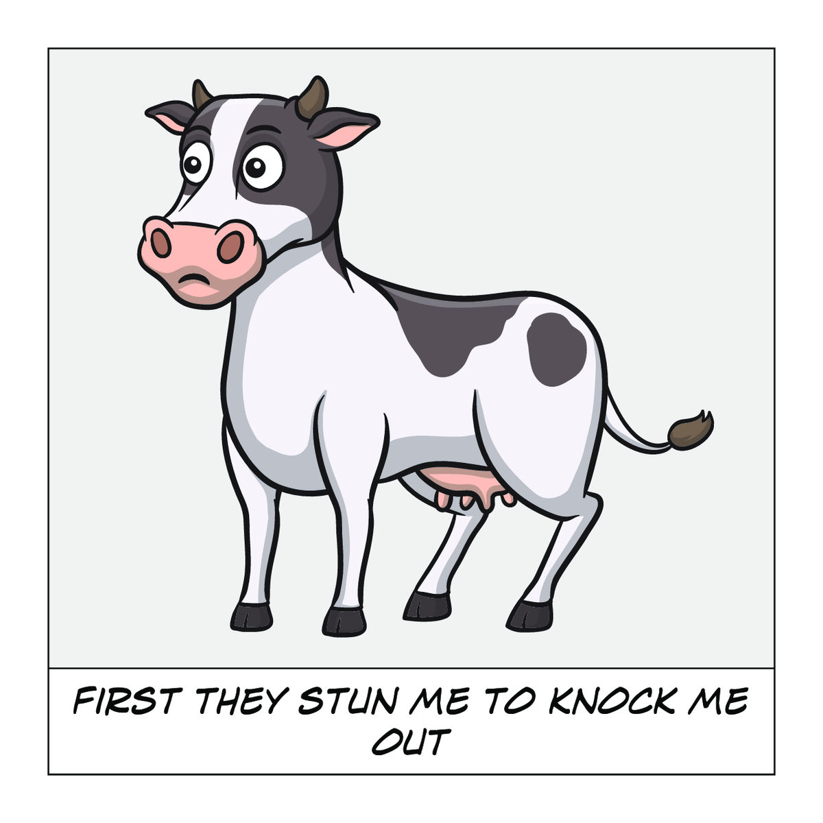 How Cows Become Burgers: Follow Along From Farm To Table - Interior Page 5