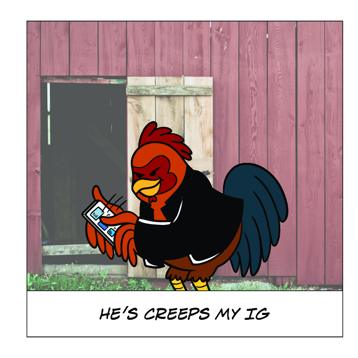 Boo-Cockee: The Rooster That Stalks Me - Interior Page 6